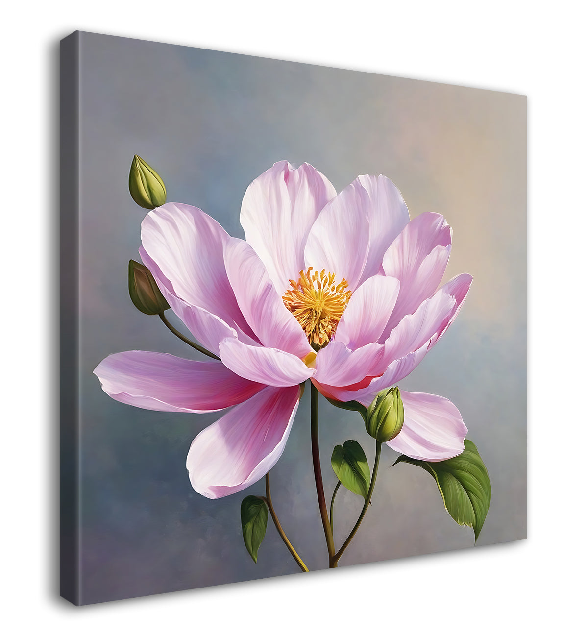 Pink flower in grey background - Flower-S-204