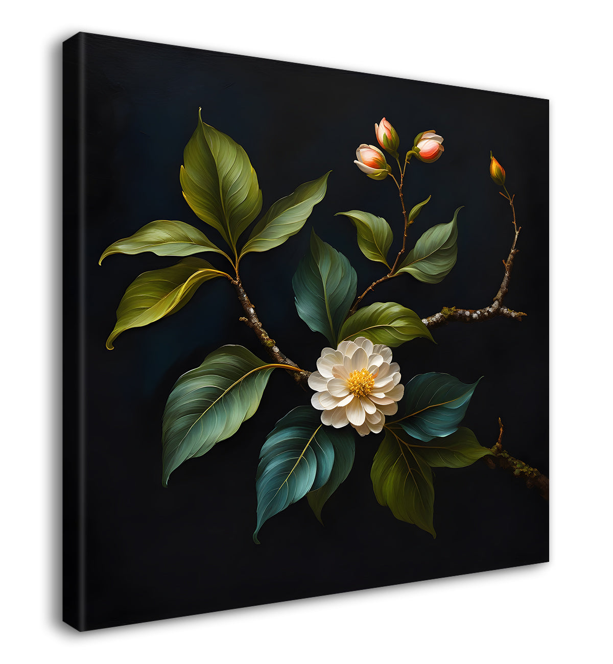 White flowers in black background - Flower-S-235