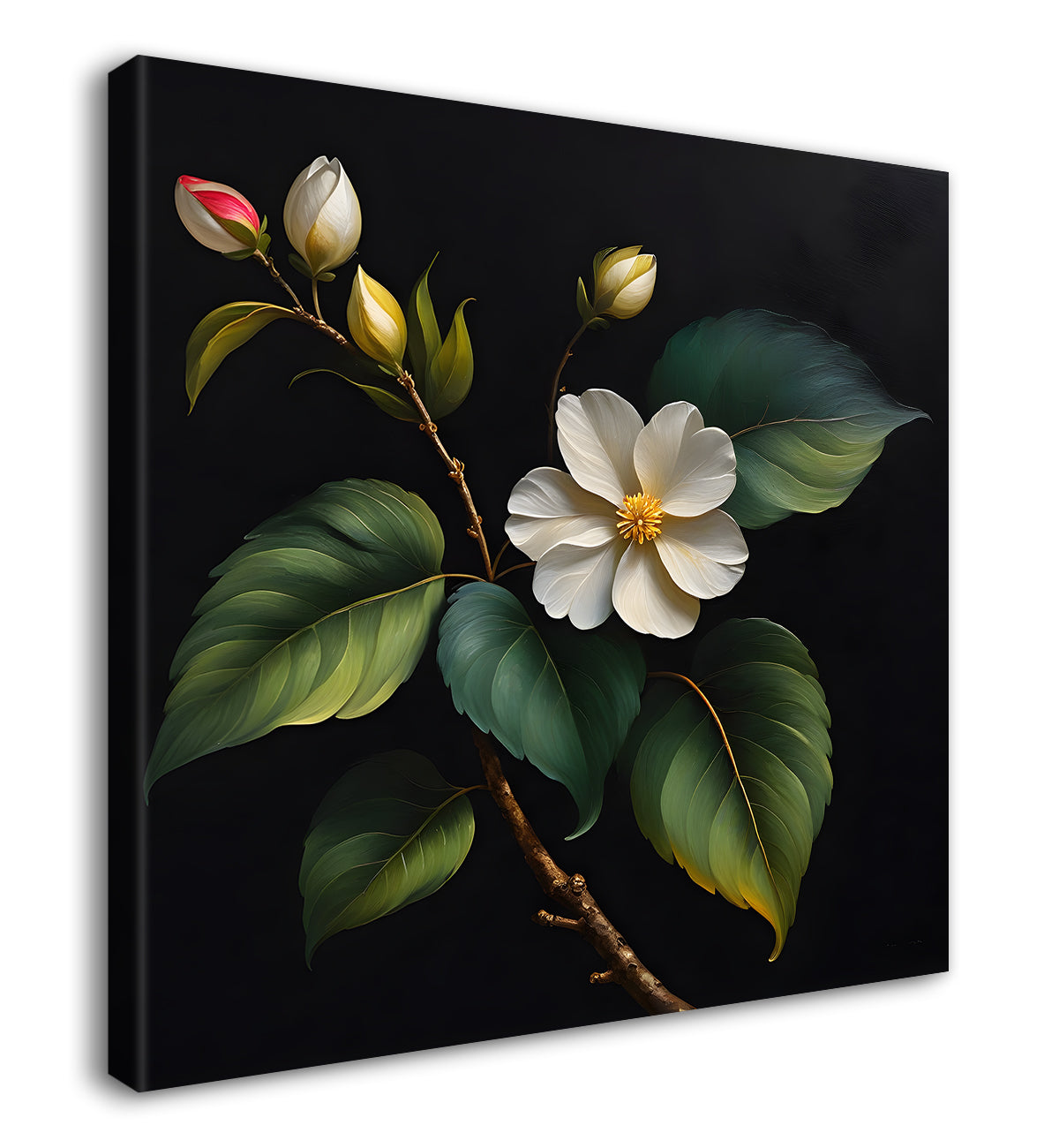 White flowers in black background - Flower-S-236