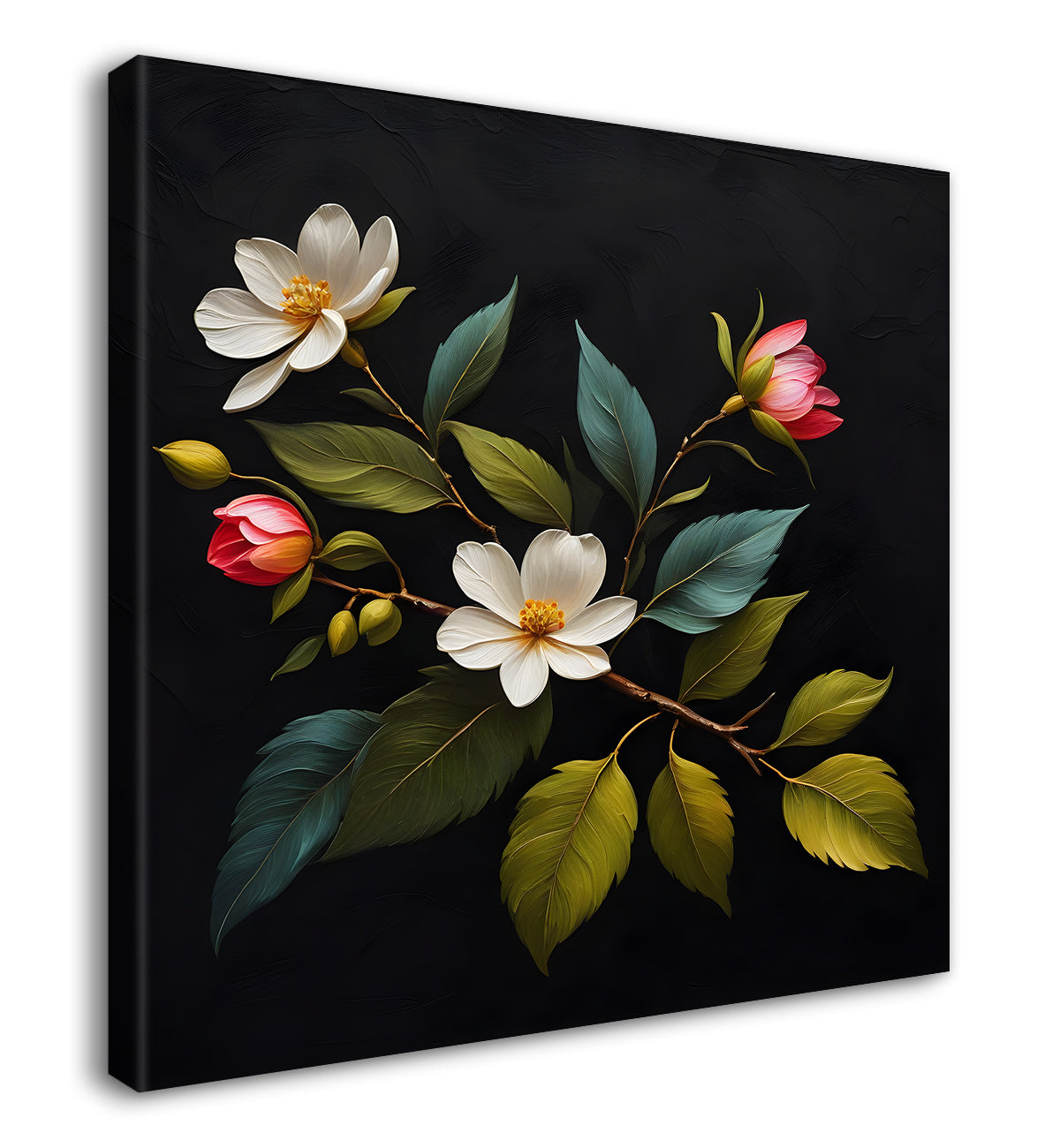 White flowers in black background - Flower-S-237