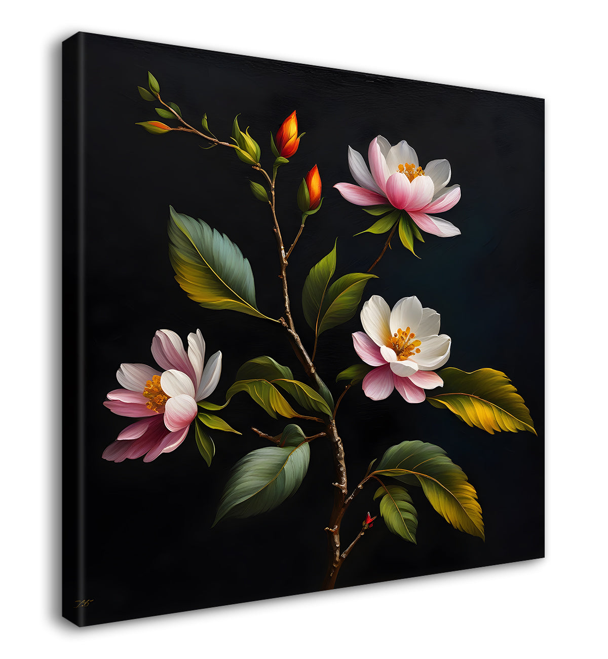 White flowers in black background - Flower-S-238