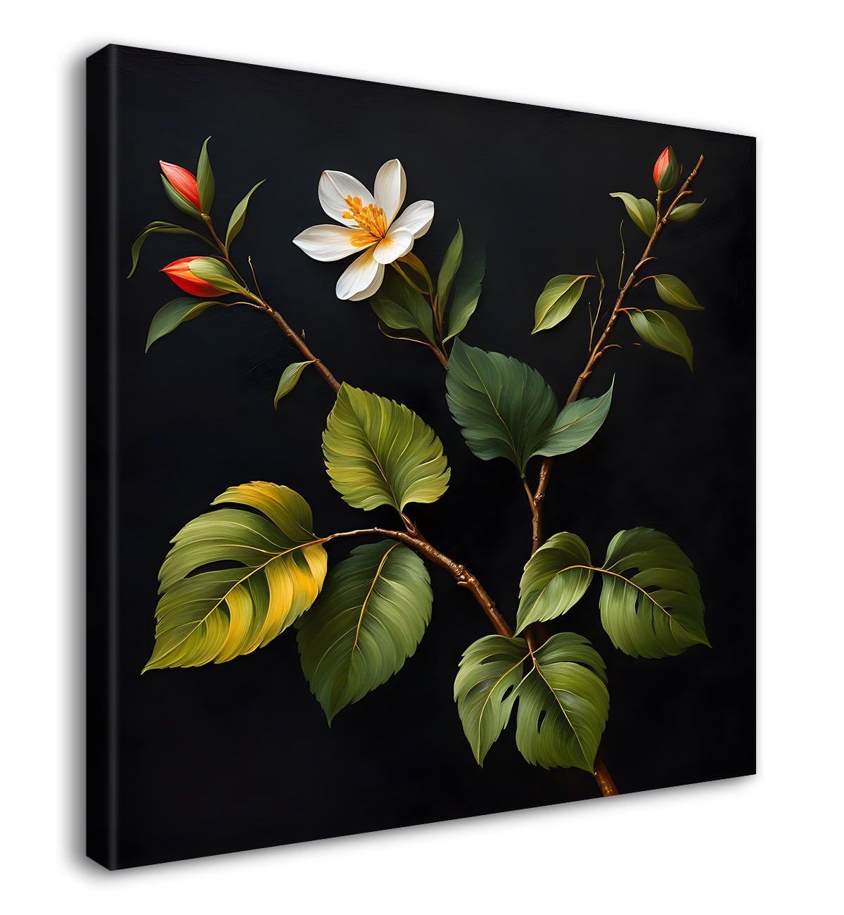 White flowers in black background - Flower-S-239