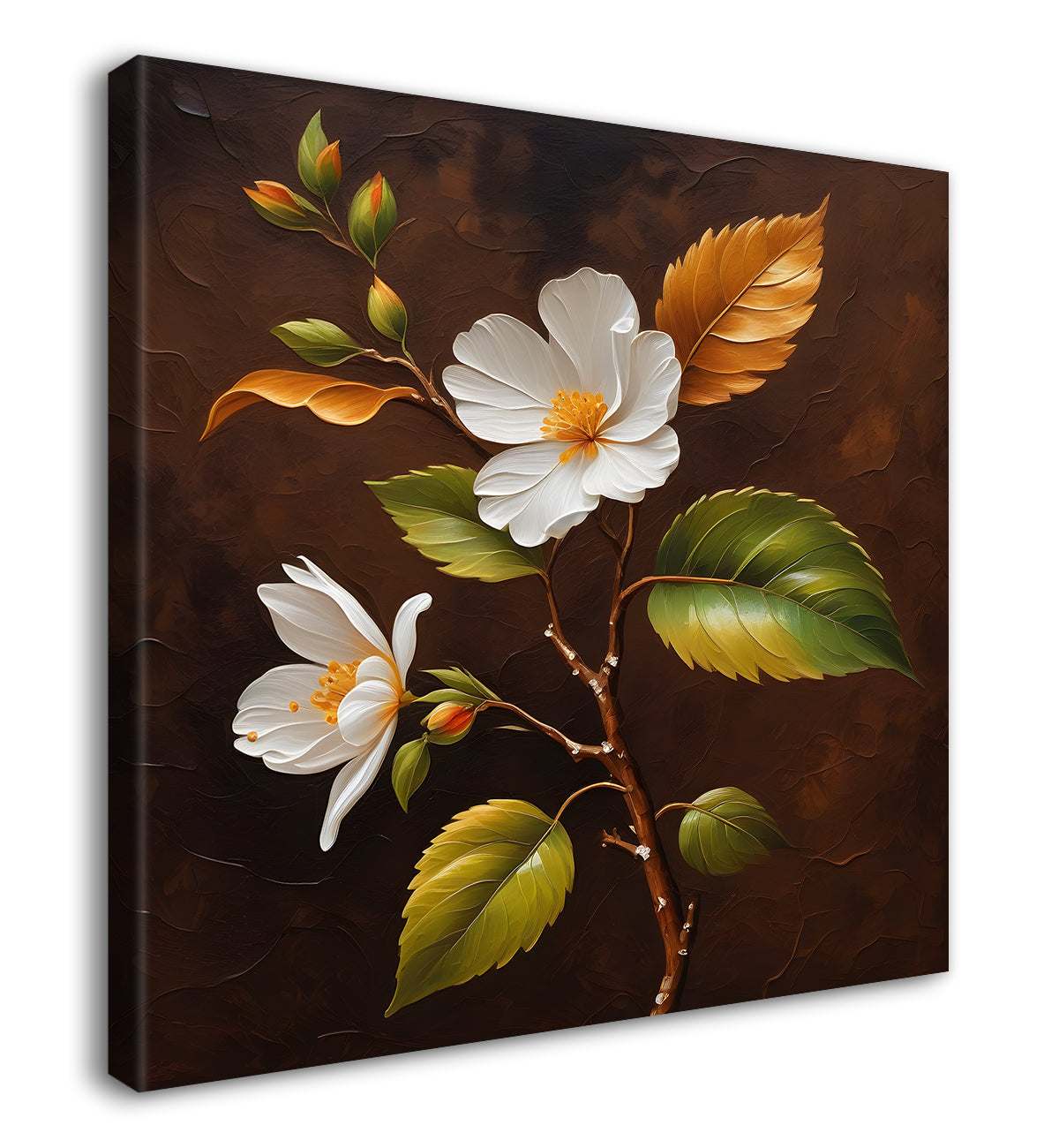 White flowers in brown background - Flower-S-240