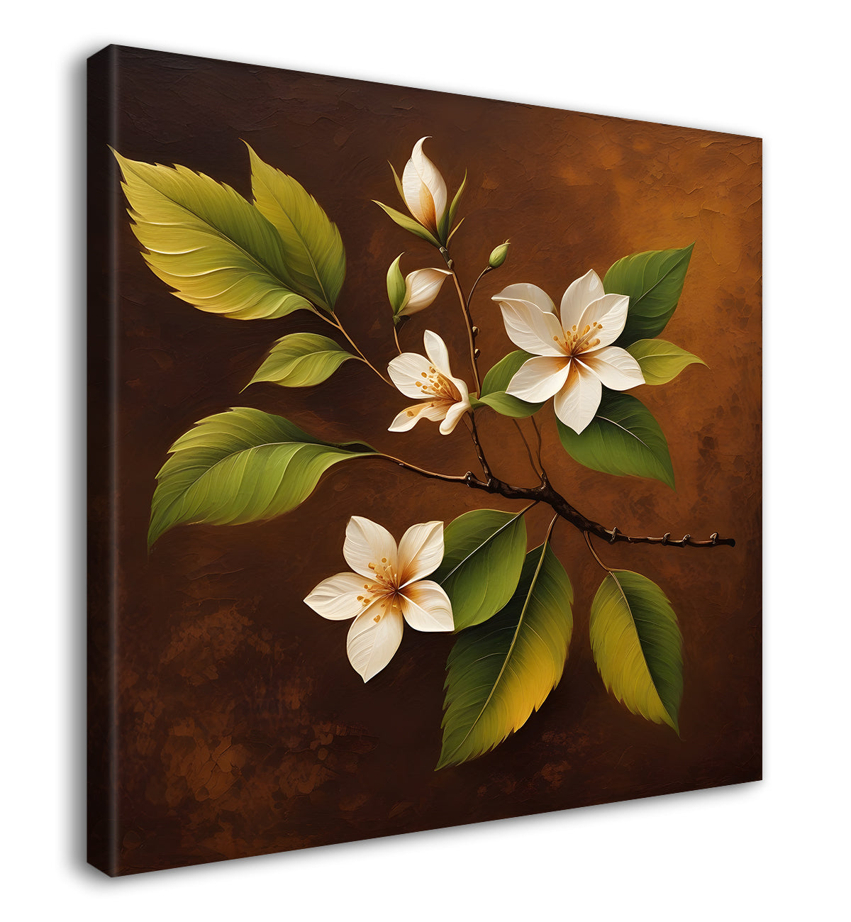 White flowers in brown background - Flower-S-241