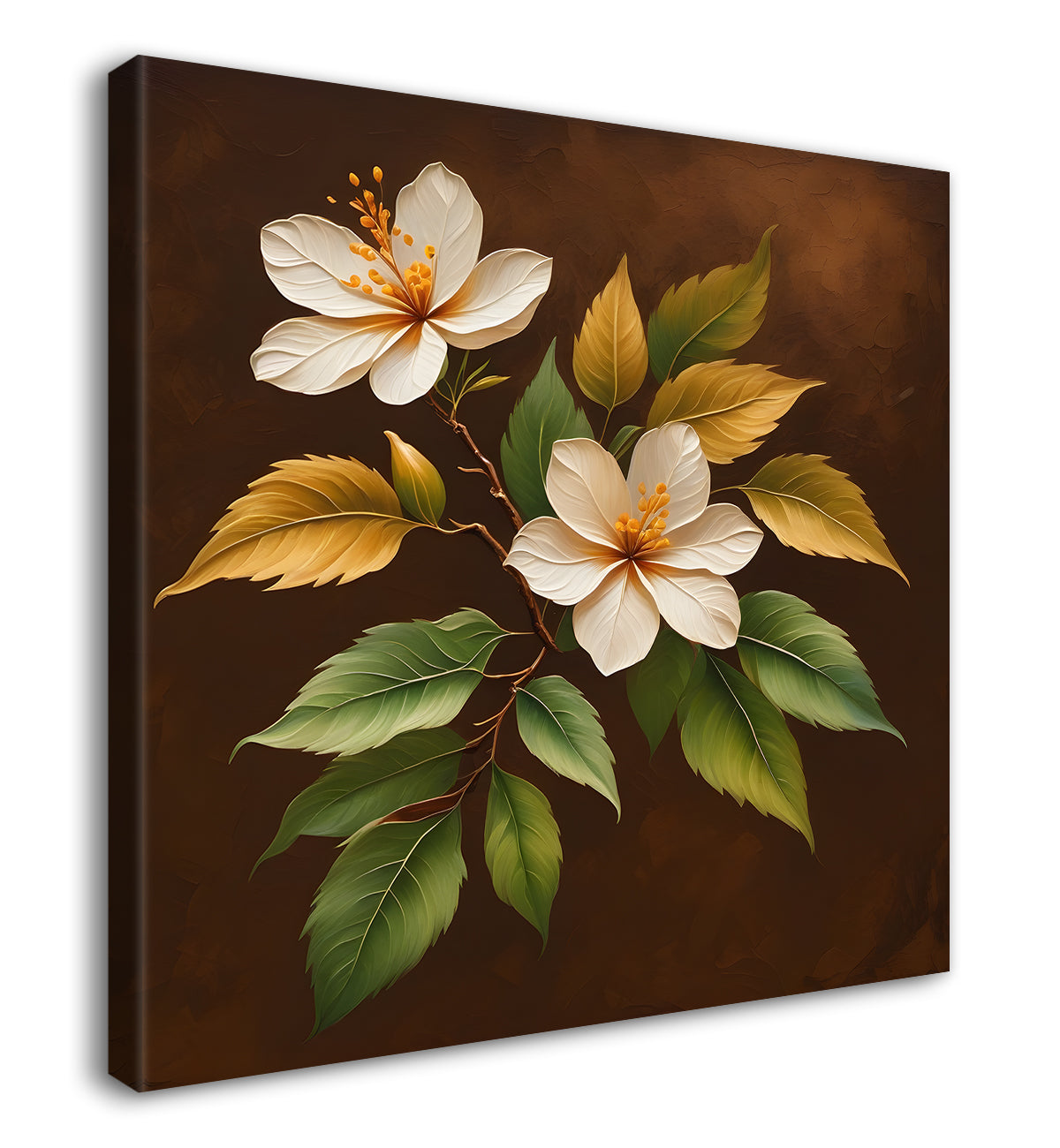 White flowers in brown background - Flower-S-242