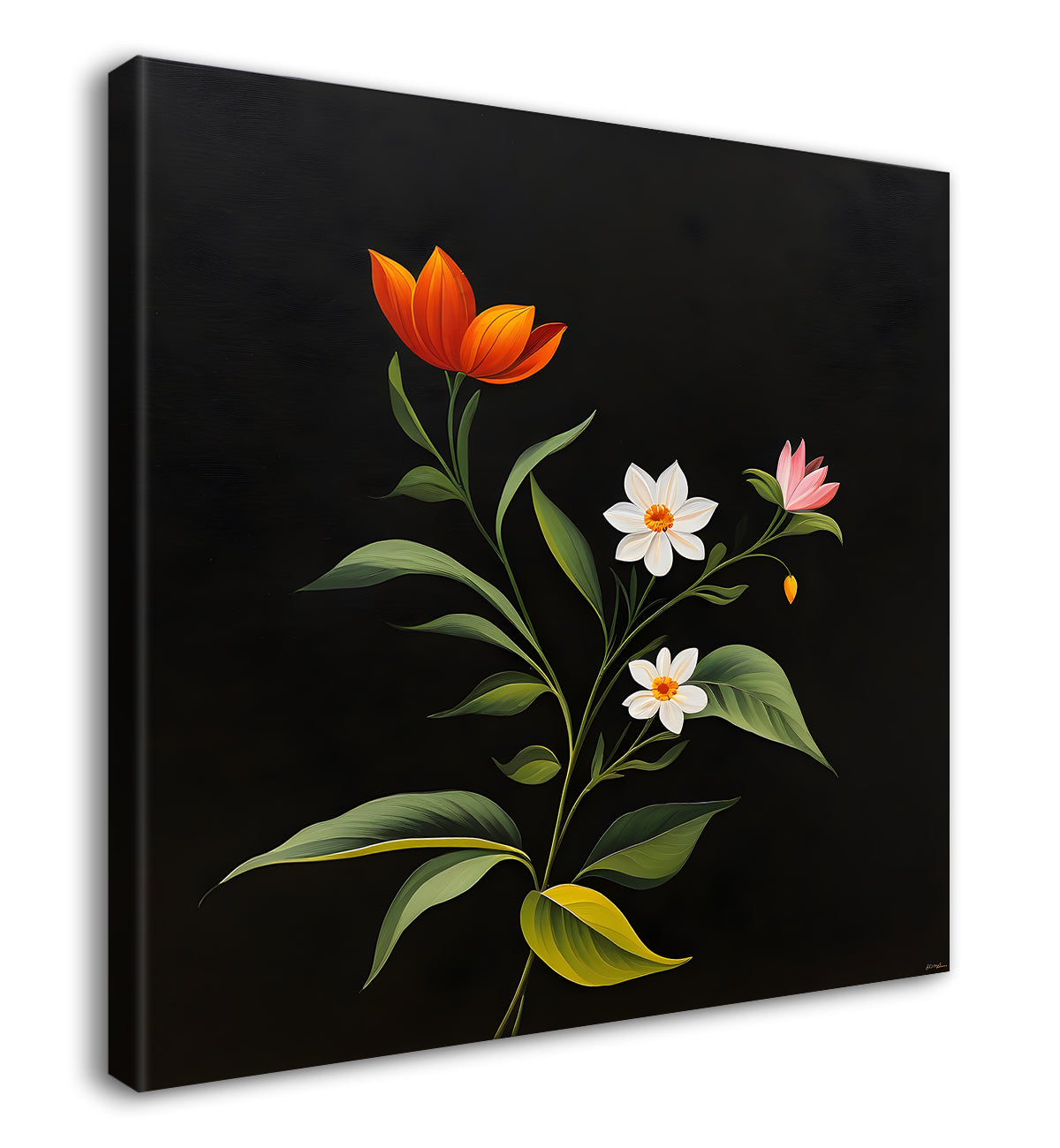 Colourful flowers in black background - Flower-S-257