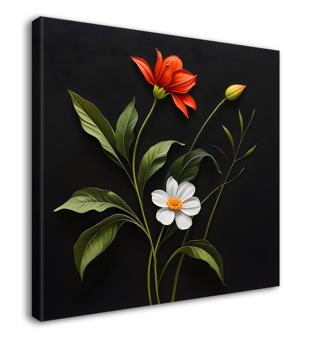 Colourful flowers in black background - Flower-S-258