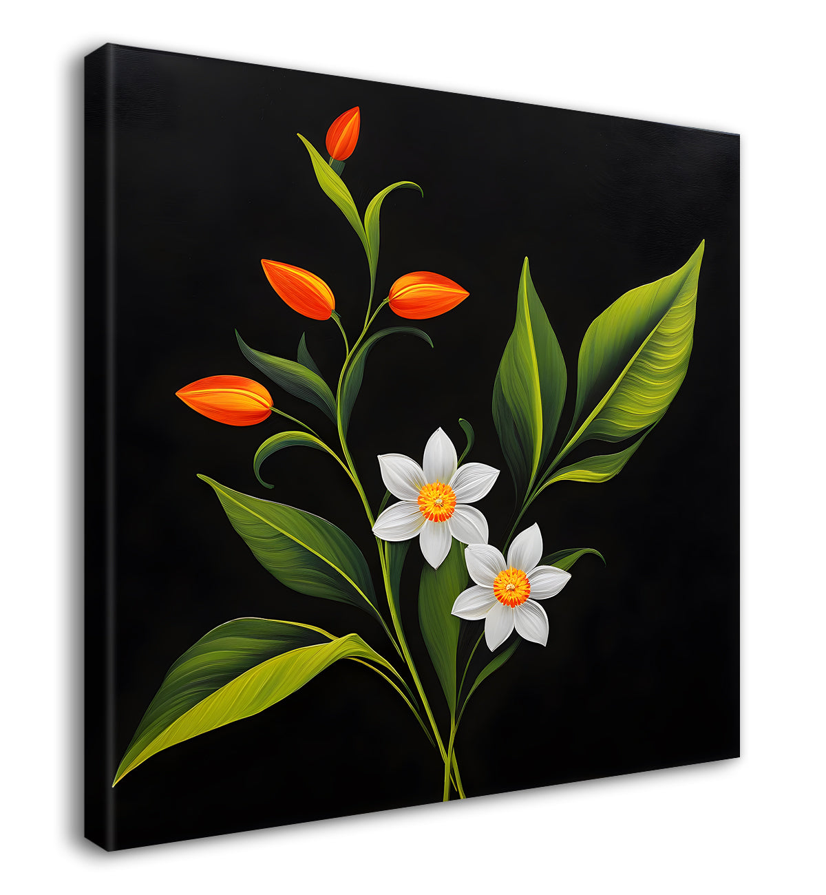 White flowers in black background - Flower-S-260