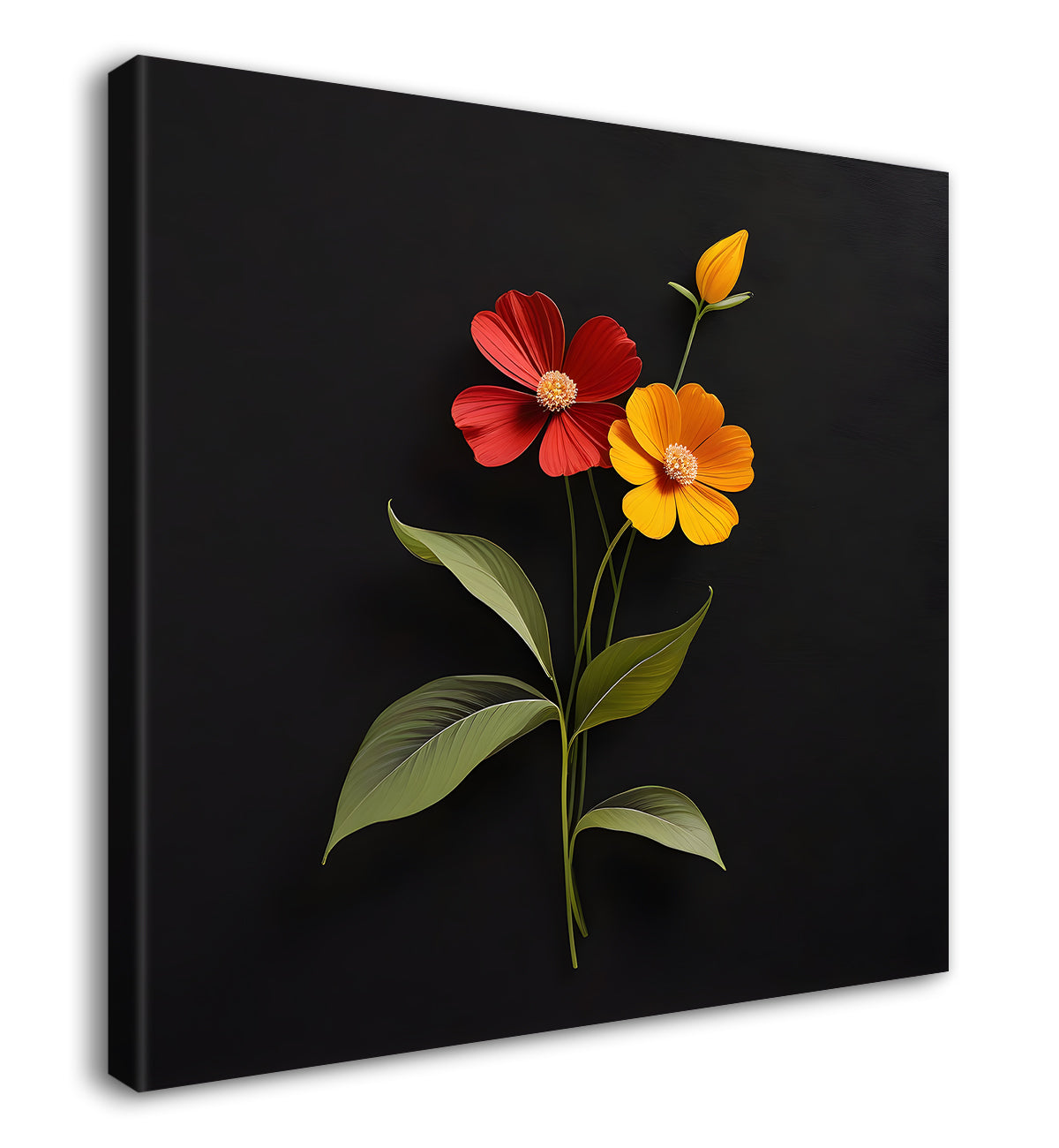 Colourful flowers in black background - Flower-S-263