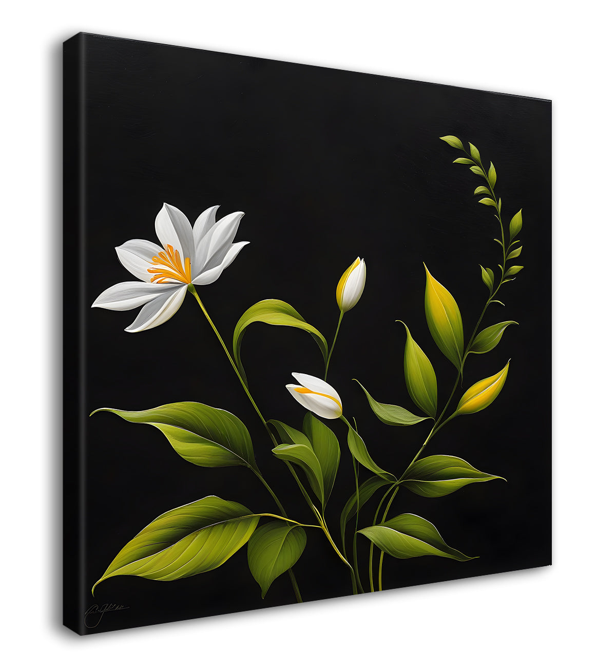 White flowers in black background painting - Flower-S-264