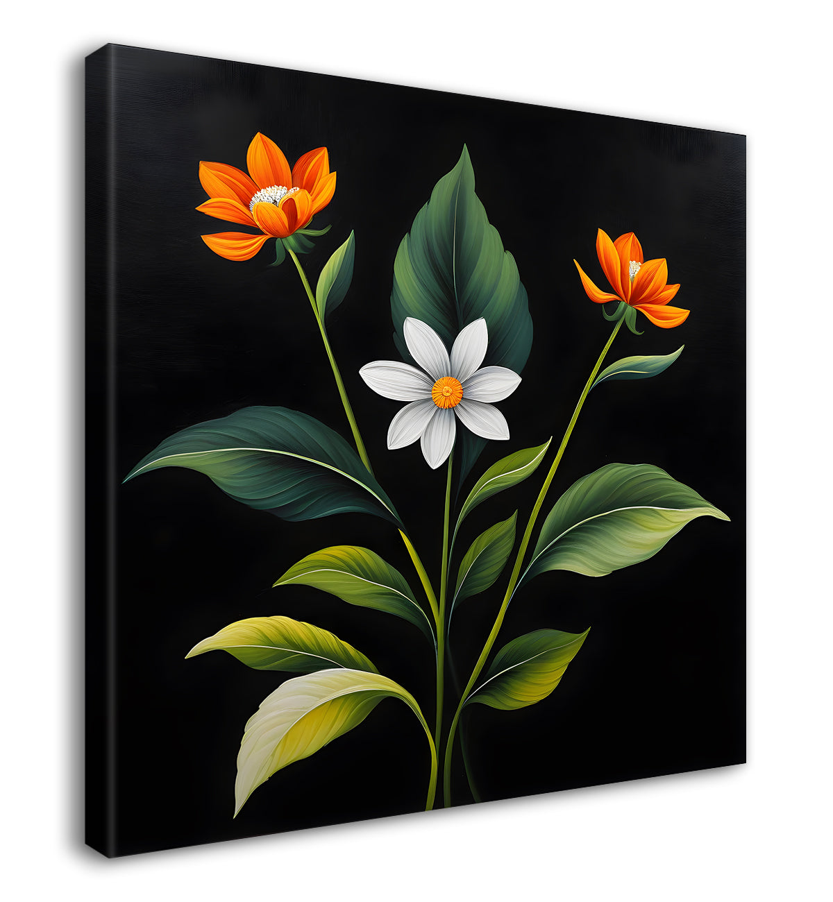 White and orange flowers in black background - Flower-S-281