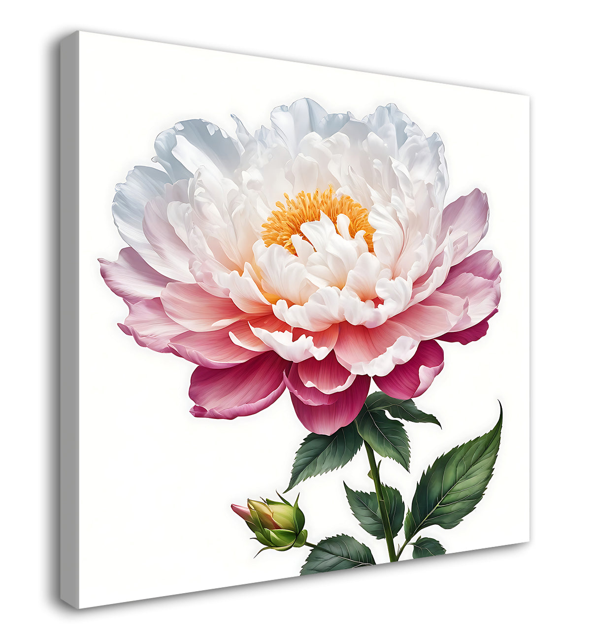 Pink flowers in water colour painting  - Flower-S-321