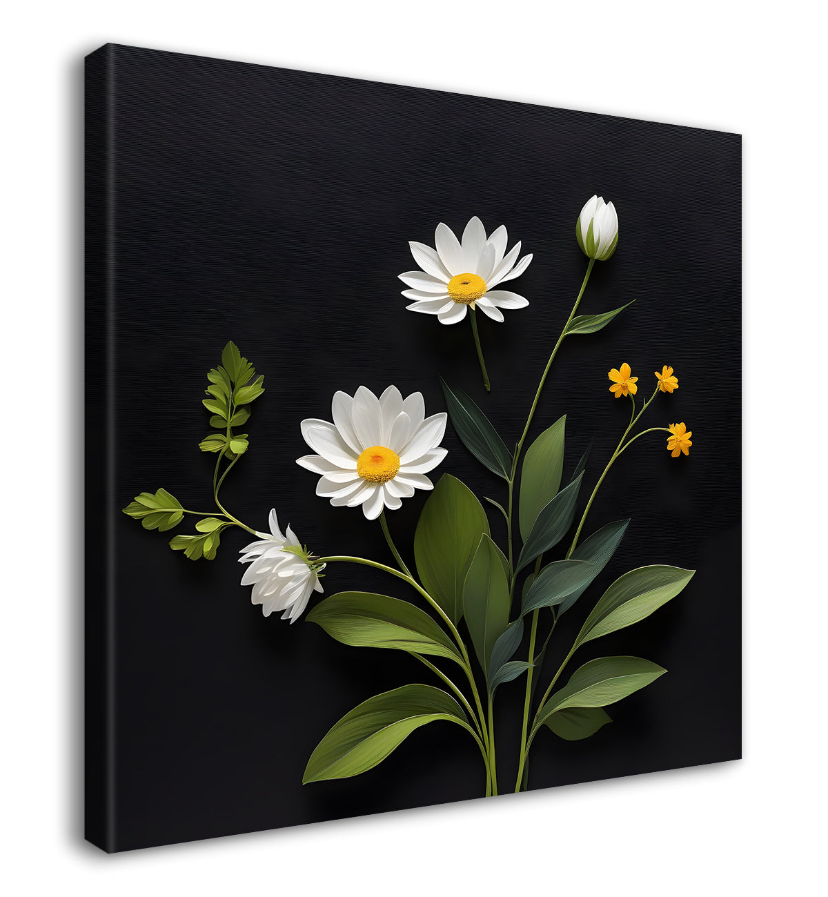 White flowers in black background painting Flower-S-348