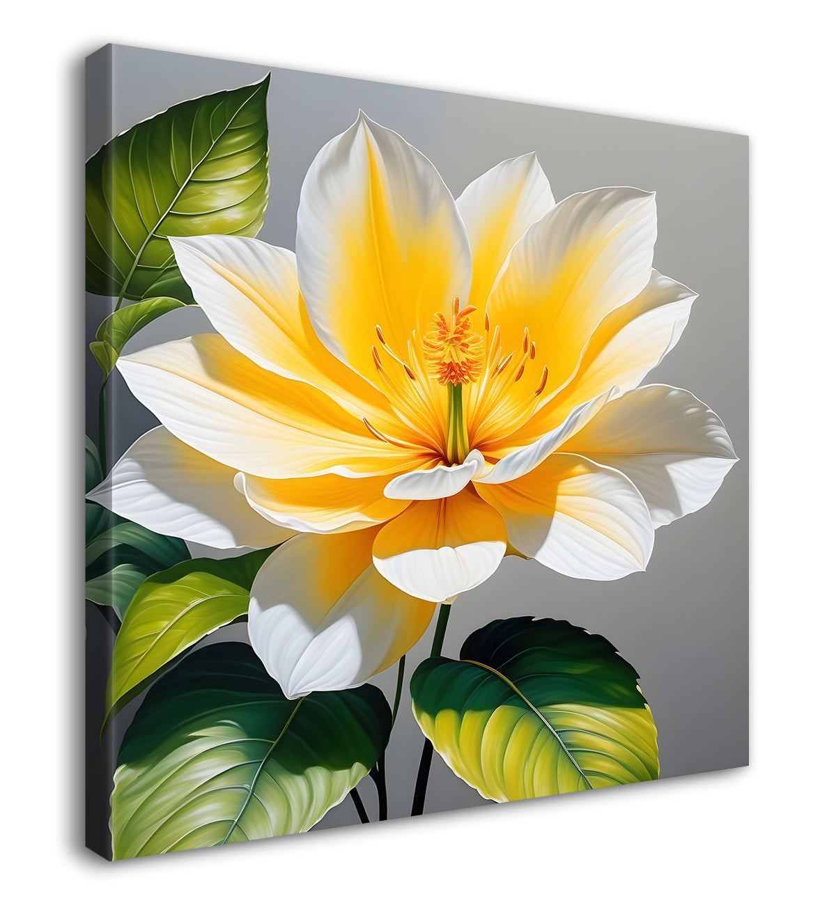 White flower in textured oil painting - Flower-S-418