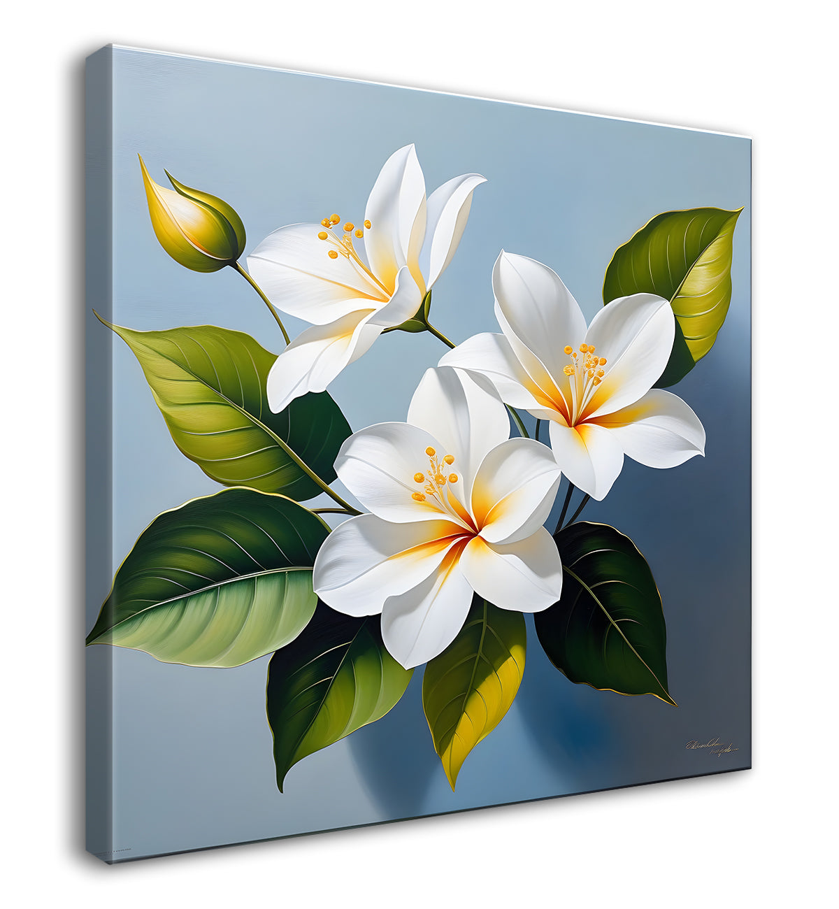 White flowers in textured oil painting - Flower-S-420