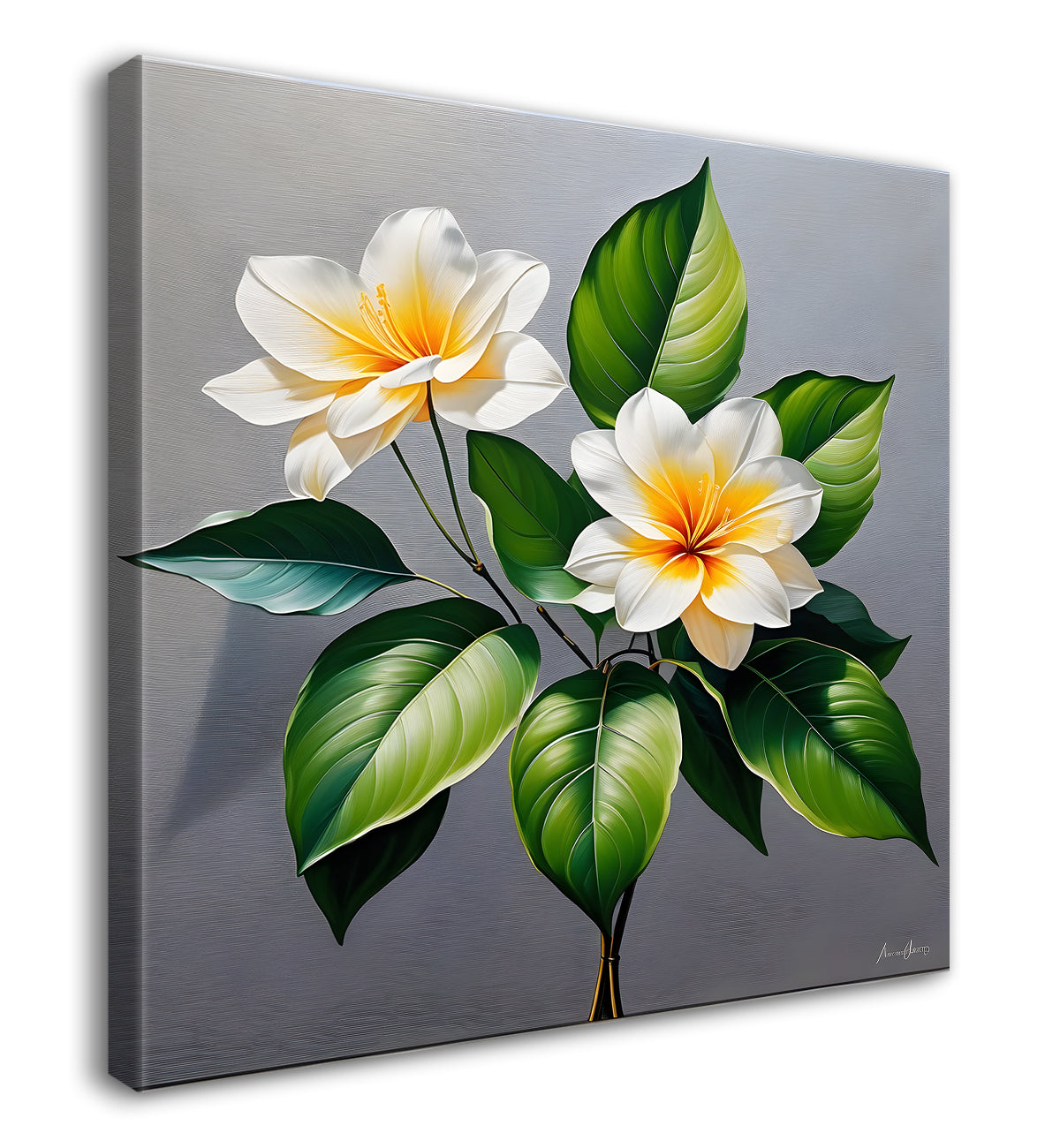 White flower in textured oil painting - Flower-S-421