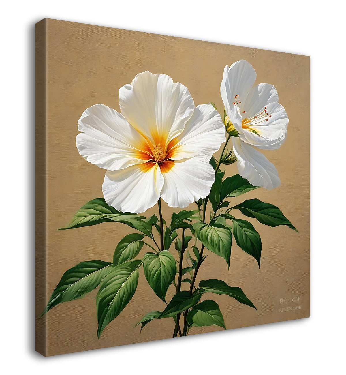 White flowers in light brown textured painting  Flower-S-533