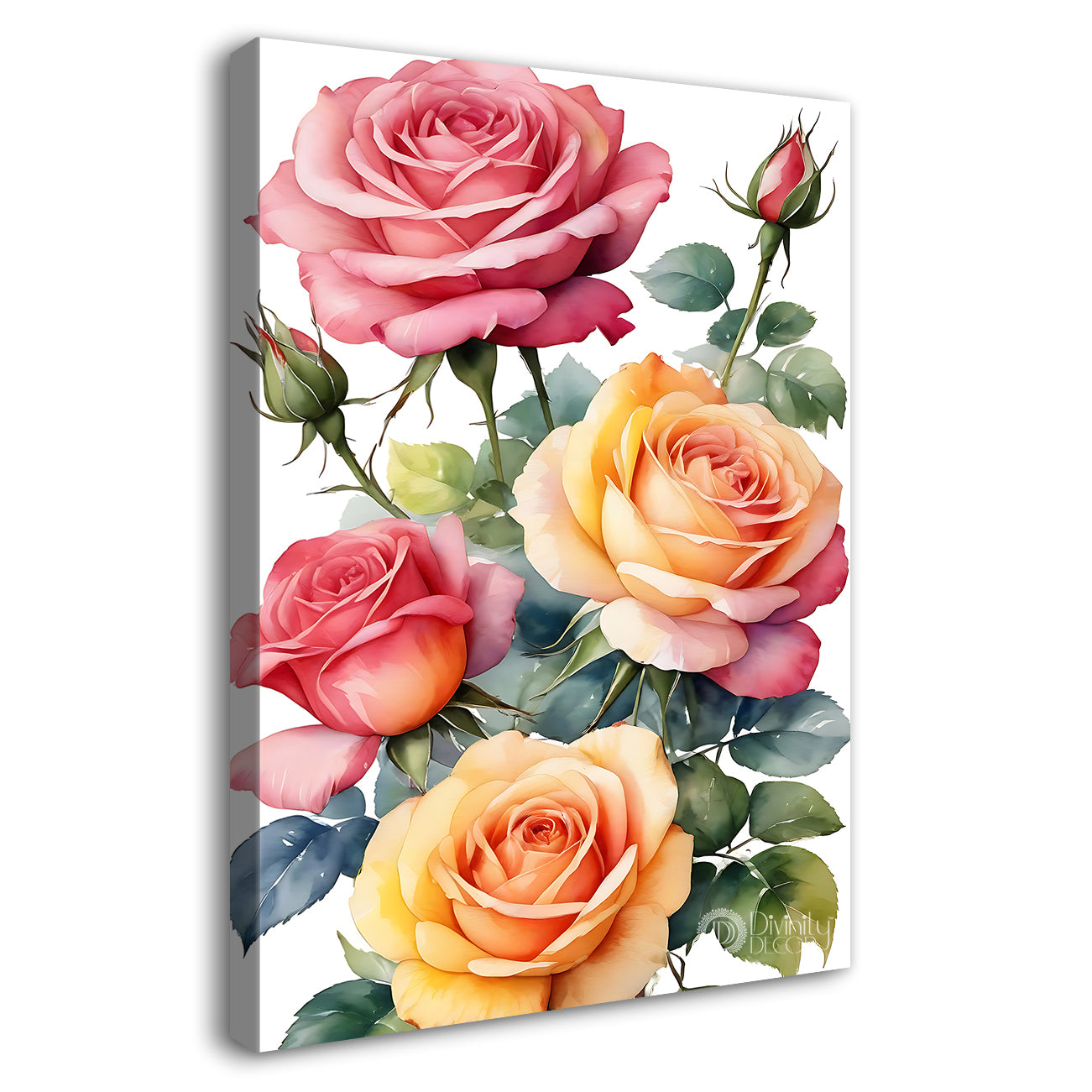 Pink and yellow roses in white background - Flower-V-590