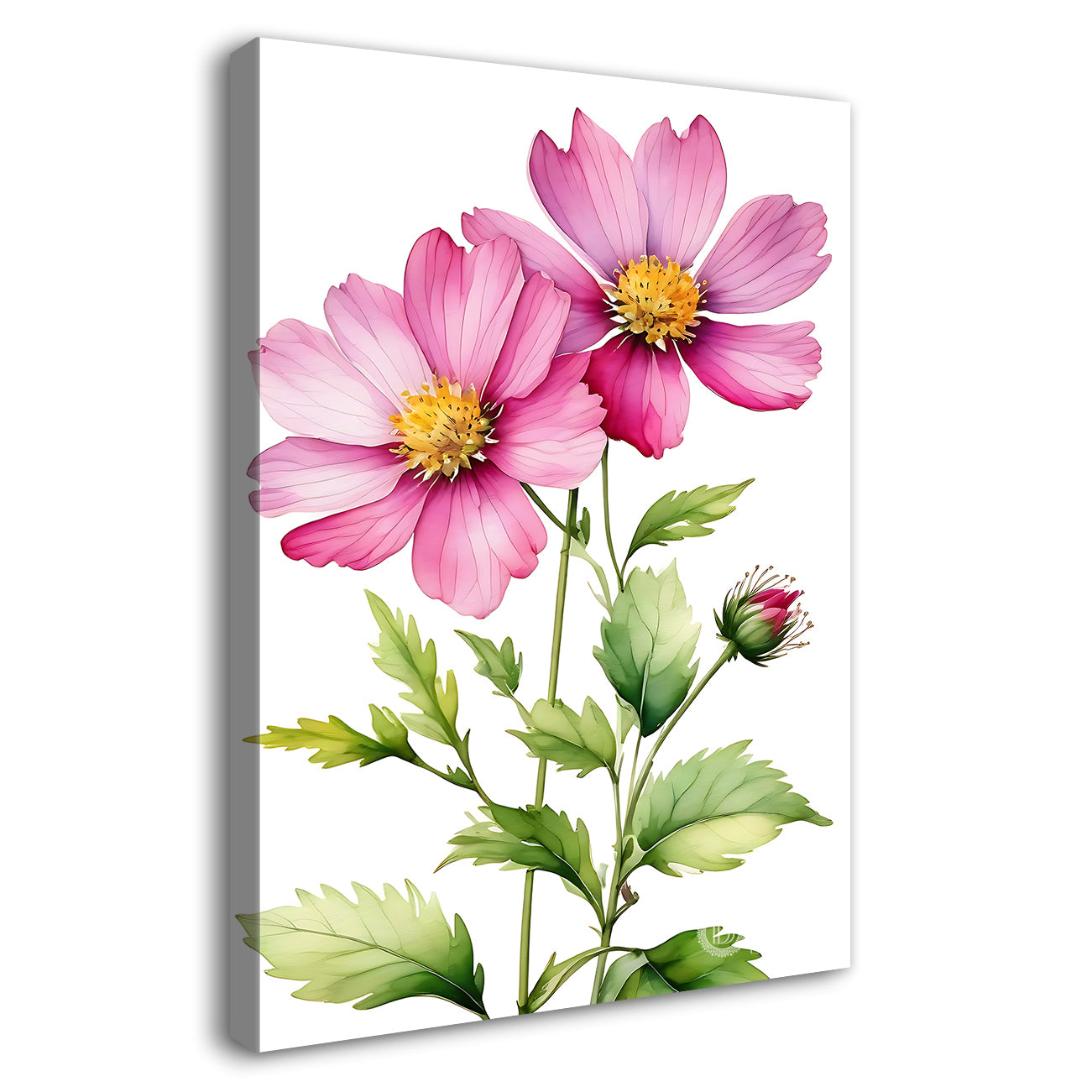 Pink flowers in white textured background  - Flower-V-668